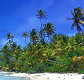 Festival Style Made a Triumphant Return in: New York