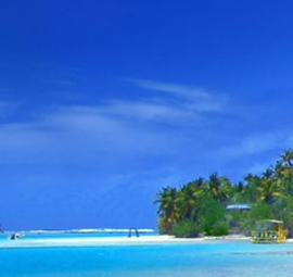 Thompson as the pilot at New York Fashion Wee