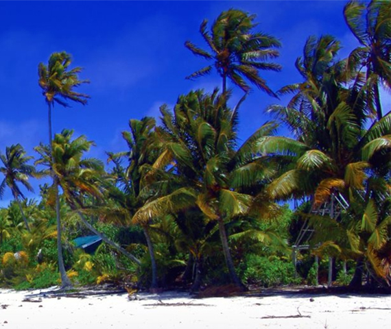 Photograph courtesy of Michel Comte Estate/AIM